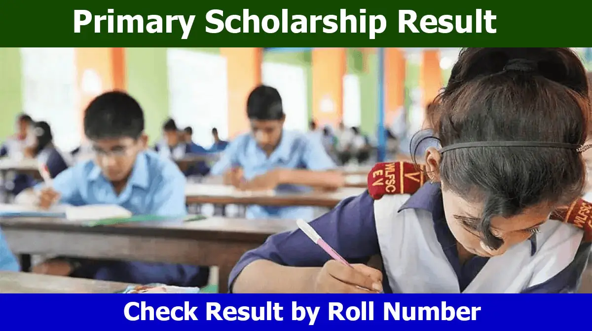 DPE Primary Result 2026